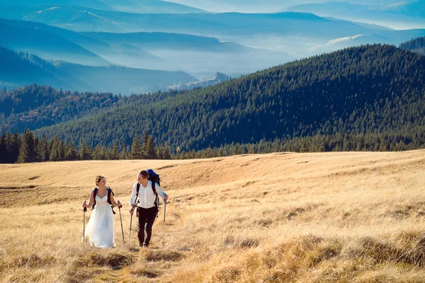 山の旅観光結婚式のカップル。アルプスでの新婚旅行 — ストック写真