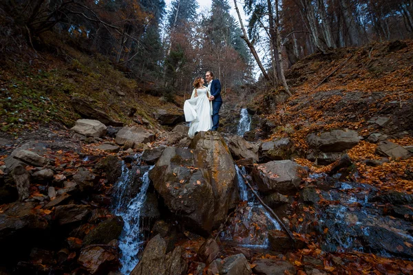 Χαρούμενη νύφη και γαμπρός χαμογελώντας κρατώντας τα χέρια στον καταρράκτη. Φθινοπωρινό βουνό — Φωτογραφία Αρχείου