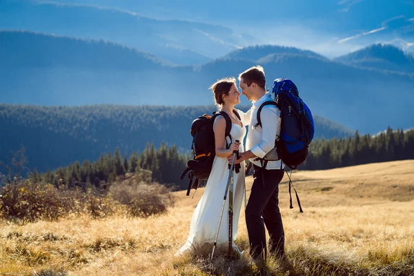 Maravillosa pareja de boda turística besándose en la cima de la montaña —  Fotos de Stock