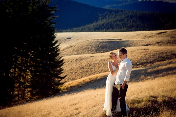 Affascinanti coppie di sposi in piedi e sorridenti sulla vetta della montagna. Luna di miele nelle Alpi — Foto Stock