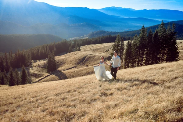 Прекрасная свадебная пара, гуляющая по полю и улыбающаяся. Медовый месяц в Альпах — стоковое фото