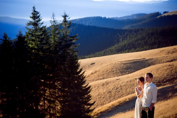 美しい結婚式のカップルは、山の風景を楽しんでいます。 — ストック写真