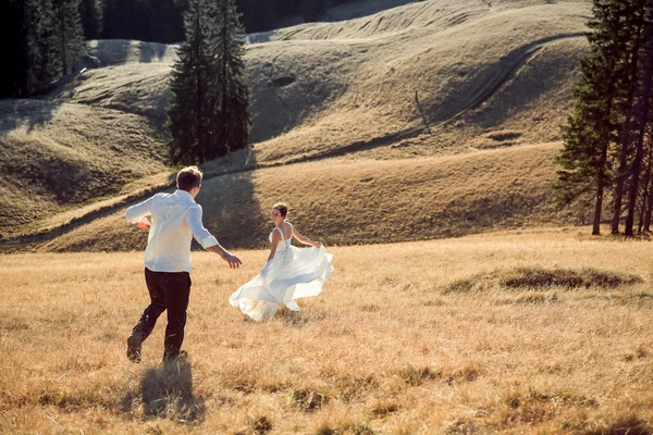 幸せな花嫁と花婿が山の上を歩きます。晴れた日 — ストック写真