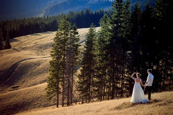 Ρομαντικό γάμο ζευγάρι απολαμβάνει το τοπίο βουνών — Φωτογραφία Αρχείου