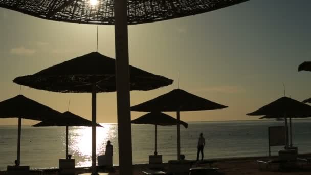 Silhouetten von Hochzeitspaaren, die bei Sonnenuntergang am Strand spazieren gehen. Flitterwochen in Ägypten — Stockvideo