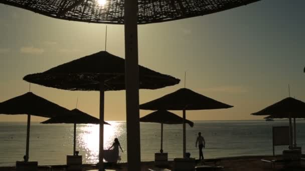 Siluetleri günbatımı usulca öpüşme mutlu düğün çift. Mısır'daki Beach — Stok video