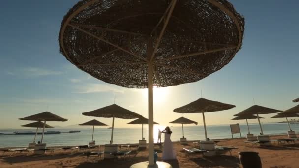 Sposo e sposo a piedi sulla spiaggia esotica. Luna di miele in Egitto — Video Stock