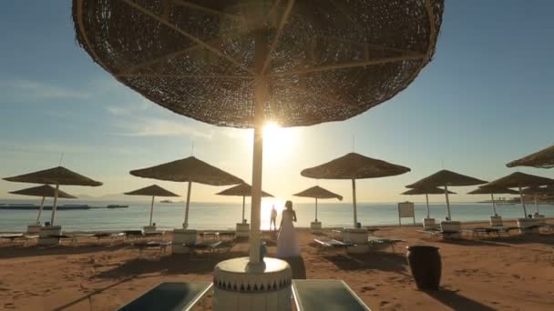 Buona sposa e sposo sulla spiaggia esotica. Luna di miele in Egitto — Video Stock