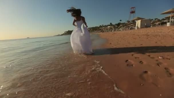 Счастливые жених и невеста смеются и веселятся, когда бегают по волнам. Медовый месяц в Египте — стоковое видео
