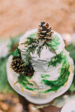 Güzel düğün pastası pinecones ve çam dalları ile dekore edilmiş