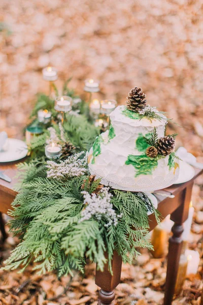 Prachtige bruidstaart versierd met pinecones en vuren takken — Stockfoto