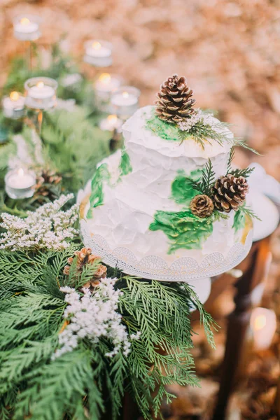 Beautiful wedding cake decorated with pinecones and spruce branches — Stock Photo, Image