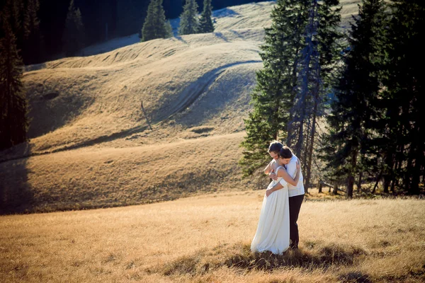 Schönes Hochzeitspaar umarmt sich sanft. erstaunliche Berglandschaft im Hintergrund — Stockfoto