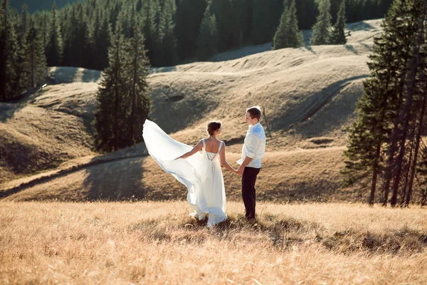 Romantische bruidspaar houden handen op de bergtop — Stockfoto