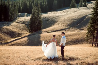 Dağın tepesinde Holding romantik Düğün çifti eller