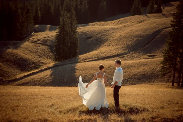 山の上に手を保持しているロマンチックな結婚式のカップル — ストック写真