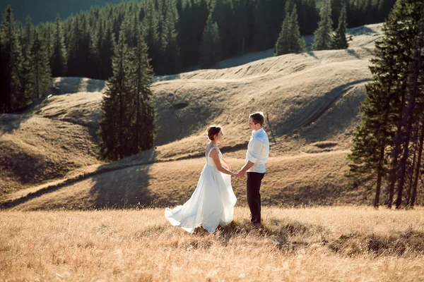 Romantisches Hochzeitspaar Händchen haltend auf dem Berggipfel — Stockfoto