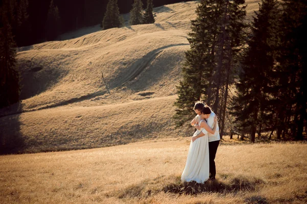 Schönes Hochzeitspaar umarmt sich sanft. erstaunliche Berglandschaft im Hintergrund — Stockfoto