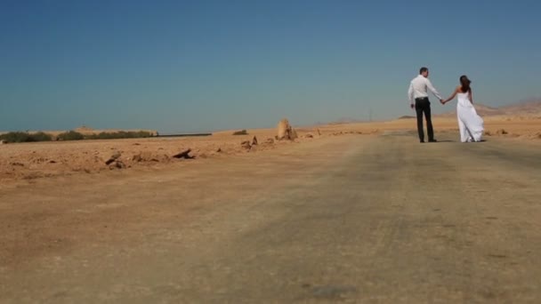 幸せな若い結婚式のカップルを歩くし、砂漠で手を繋いでいます。エジプトでの新婚旅行 — ストック動画