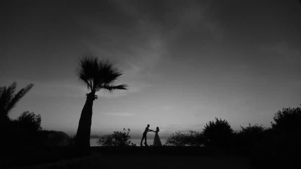 Siluetas de pareja maravillosa tomados de la mano y besándose. Atardecer romántico en el fondo. Blanco y negro — Vídeos de Stock