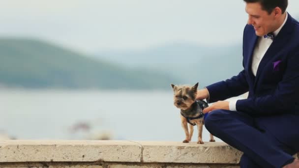 Handsome groom petting little cute dog terrier Montenegro, Budva — Stock Video