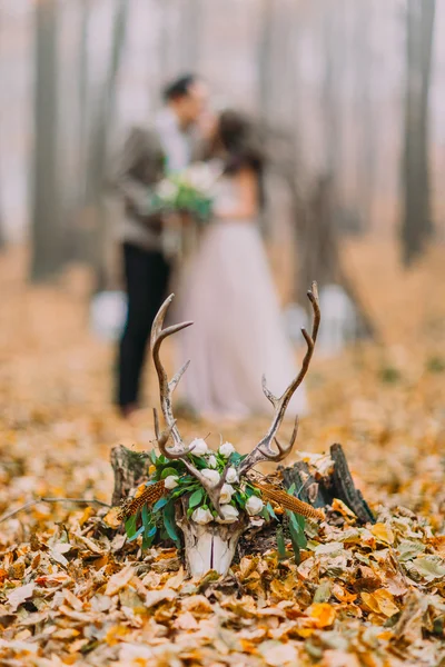 素敵な結婚式のカップルが前景に鹿の頭蓋骨とキスします。秋の森 — ストック写真