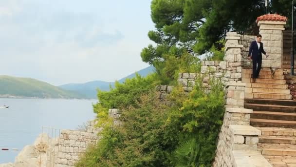 Beau marié descend les escaliers avec mignon terrier au Monténégro, Budva — Video