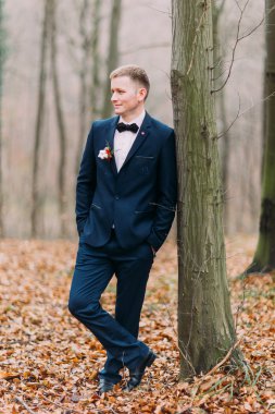 Yakışıklı emin damat sonbahar orman bir ağaca yakın poz takım elbiseli