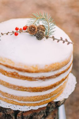 Çam kozalakları ve dalları ile dekore edilmiş ormandaki masada tatlı pasta