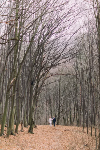 Bruidspaar lopen samen op het magische bladloos herfst bos. — Stockfoto