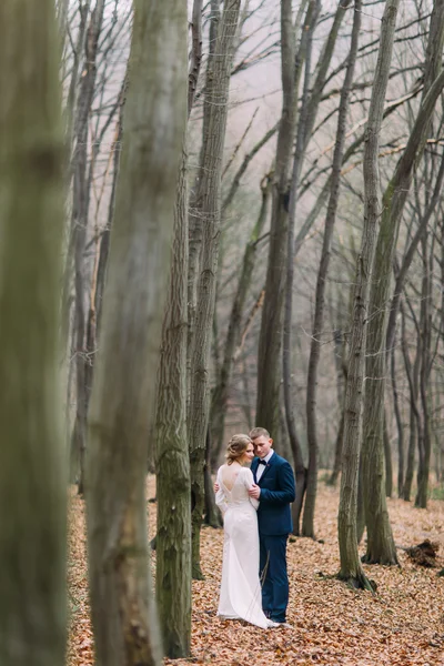 Düğün çifti birlikte sihirli sonbahar orman yürüyüş. Yeni evliler aşık.