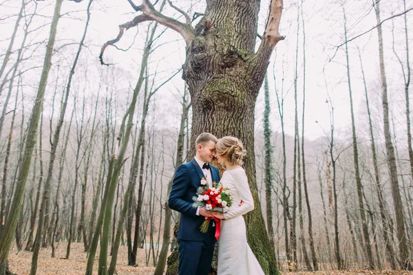 Beautiful young wedding couple holding hands near the big leafless tree in autumn forest. — Stock Photo, Image