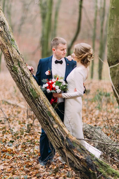 Bella giovane coppia di nozze che si tiene per mano vicino all'albero del tronco nella foresta autunnale . — Foto Stock