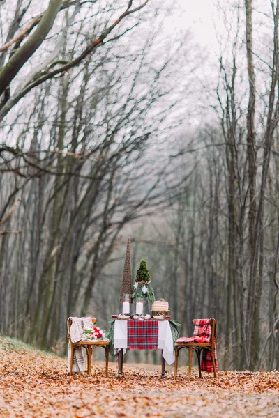 Mesa creada para dos personas y decorada con decoraciones navideñas en el bosque otoñal — Foto de Stock
