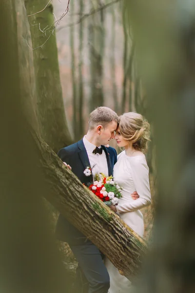 Feliz jovem noiva e noivo abraçando na floresta de outono. Belos recém-casados — Fotografia de Stock