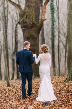 Mutlu güzel gelin ve damat sonbahar ormanda yürüyüş