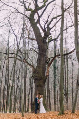 Çift düğün büyük yapraksız tree yakınındaki sonbahar ormandaki hugs.