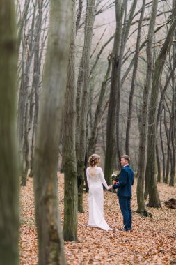 Düğün çifti birlikte sihirli sonbahar orman yürüyüş. Yeni evliler aşık.