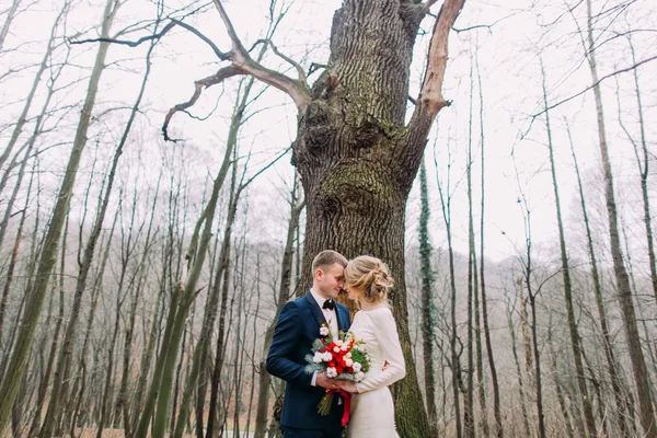 Beautiful young wedding couple holding hands near the big leafless tree in autumn forest. — Stock Photo, Image