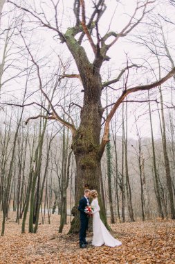 Güzel genç evlilik çift el ele tutuşarak sonbahar ormanda büyük yapraksız yakınındaki.