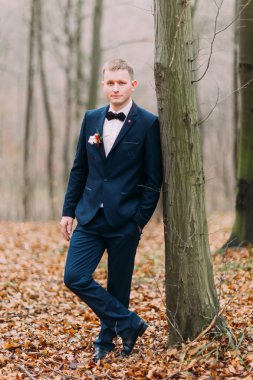 Yakışıklı emin damat sonbahar orman bir ağaca yakın poz ve gülümseyen takım elbiseli. Düğün günü