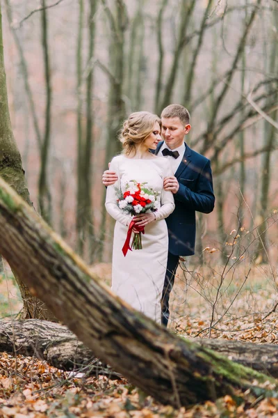 Красивая счастливая молодая стильная свадебная пара обнимается у ствола дерева в осеннем лесу . — стоковое фото