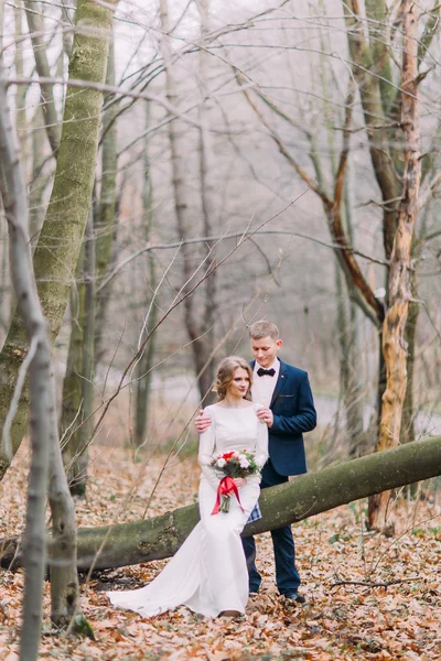 Casal jovem bonito sentado no toco na floresta de outono — Fotografia de Stock