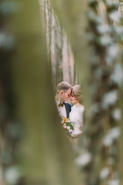 Joyeux jeune marié et jeune mariée embrassant dans la forêt d'automne. Beaux jeunes mariés — Photo