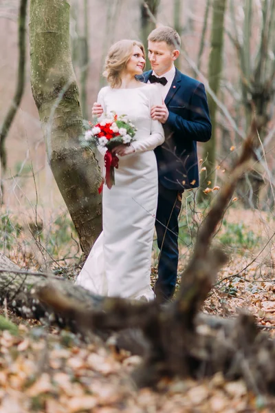 아름 다운 행복 한 젊은 세련 된 결혼식 한 쌍이을 숲에서 트렁크 나무 근처 포옹. — 스톡 사진