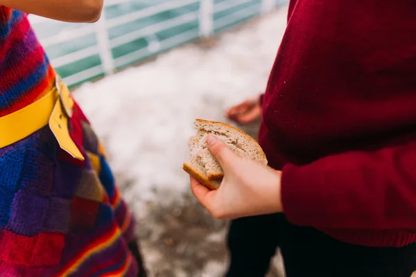 Mans mão segura uma fatia de pão integral weat. Fundo marinho. Conceito criativo — Fotografia de Stock