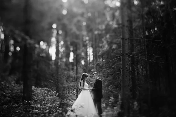 Black and white photo of young married couple dancing outdoor — 스톡 사진