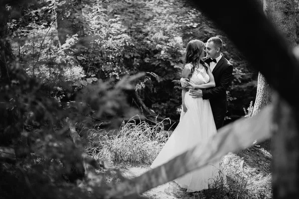 Foto en blanco y negro de una pareja recién casada abrazándose en el bosque —  Fotos de Stock