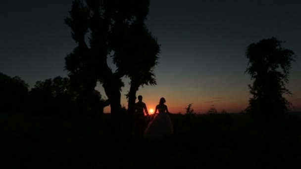 Mooie bruidspaar silhouet zacht zoenen op de achtergrond van het bos. Prachtige zonsondergang — Stockvideo