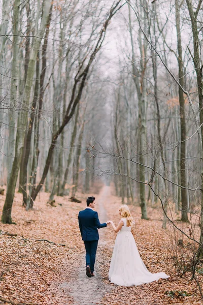 Feliz boda pareja camina en el camino en el bosque de otoño — Foto de Stock